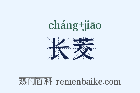 长茭是什么意思的图片